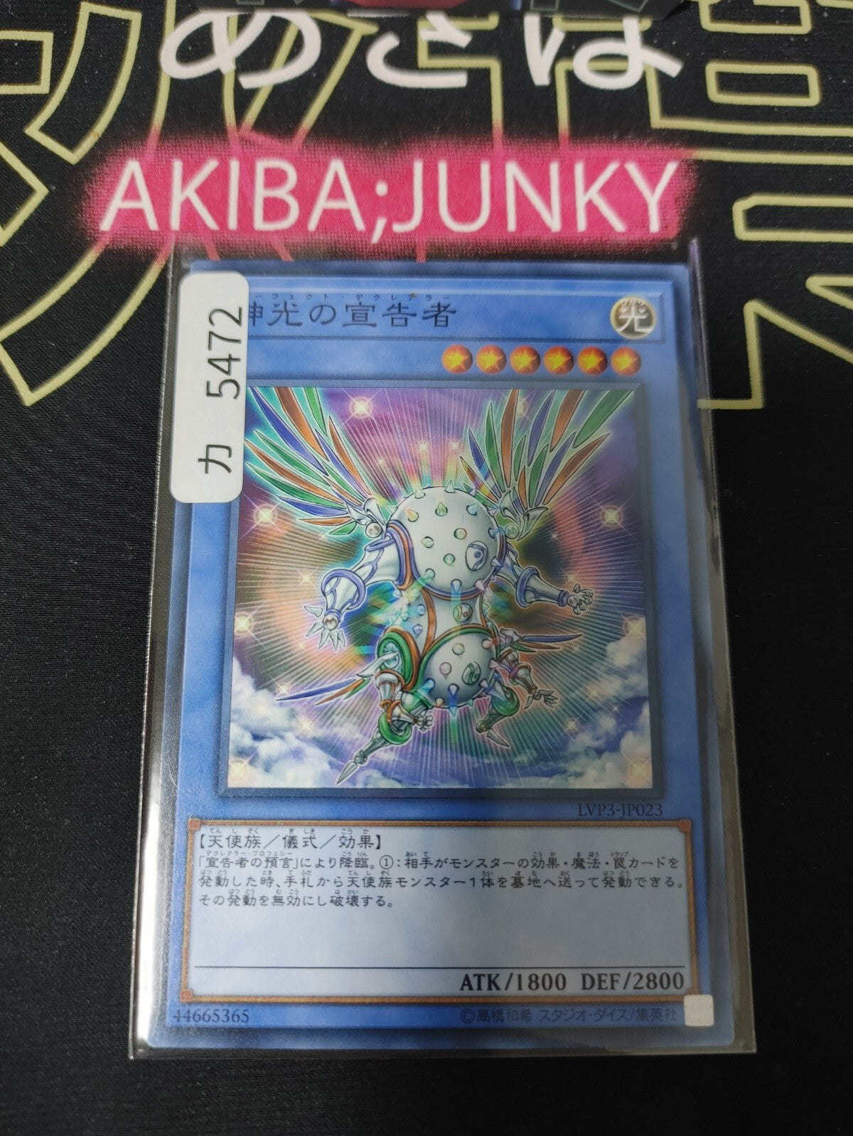 47434212