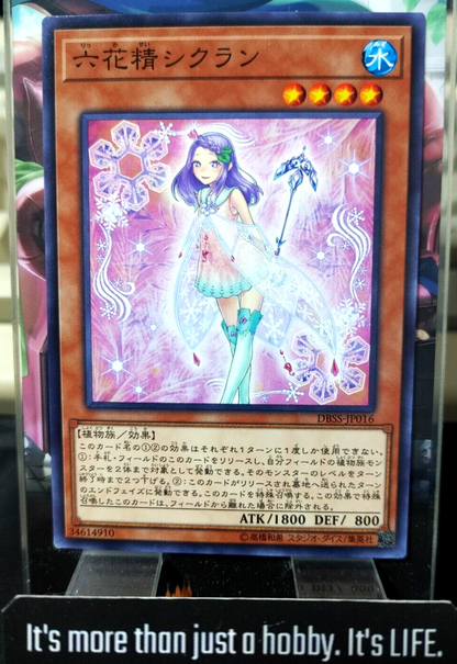 47429423