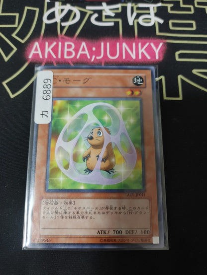 47432520