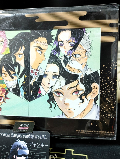 Demon Slayer Mitsuri Kanroji Giyu Hashira Animation Manga Display B Japan Promo