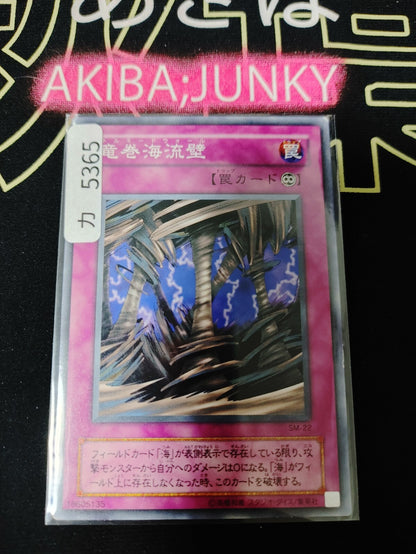 47434313
