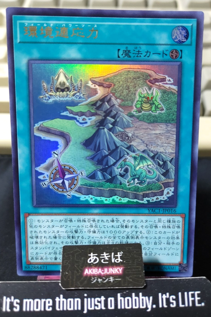 Field Power Bonus Yugioh YAC1-JP016 Ultra Rare Konami OCG JAPAN