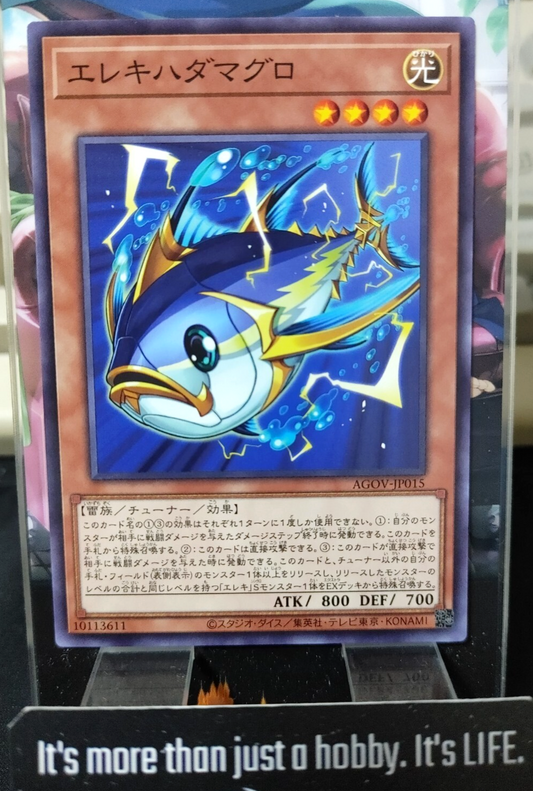 47430474