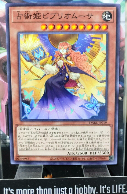 47423253