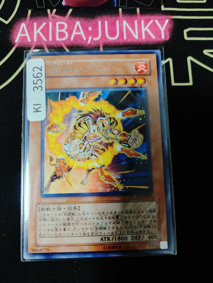 47432203