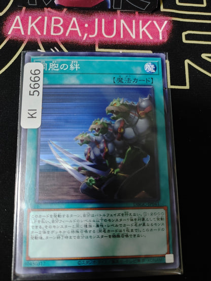 Ties of the Brethren Yugioh DBGC-JP041 Konami OCG JAPAN