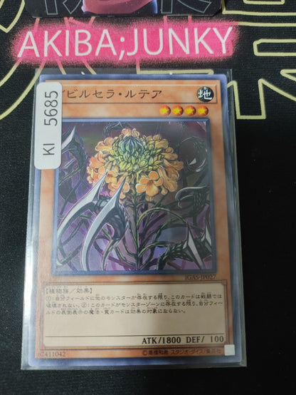 Evilcella Lutea Yugioh IGAS-JP027 Yu-Gi-Oh Konami OCG JAPAN