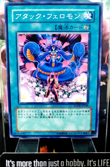 47425956