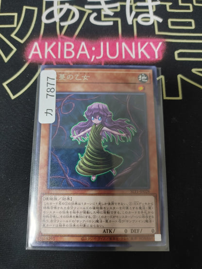 47429810