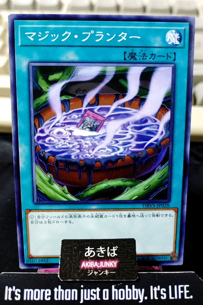 47442247