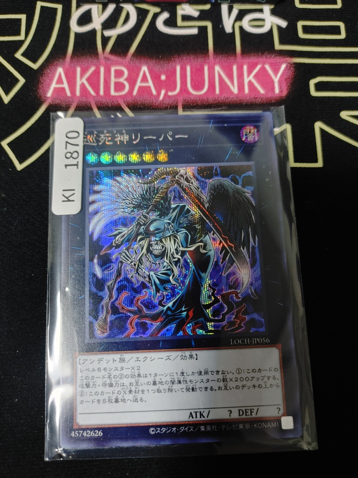 47437231