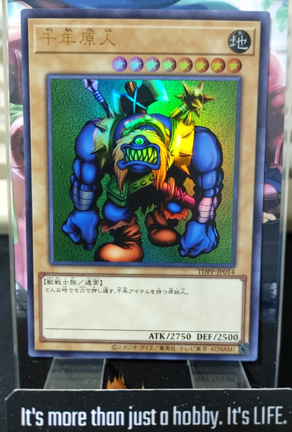 47423291