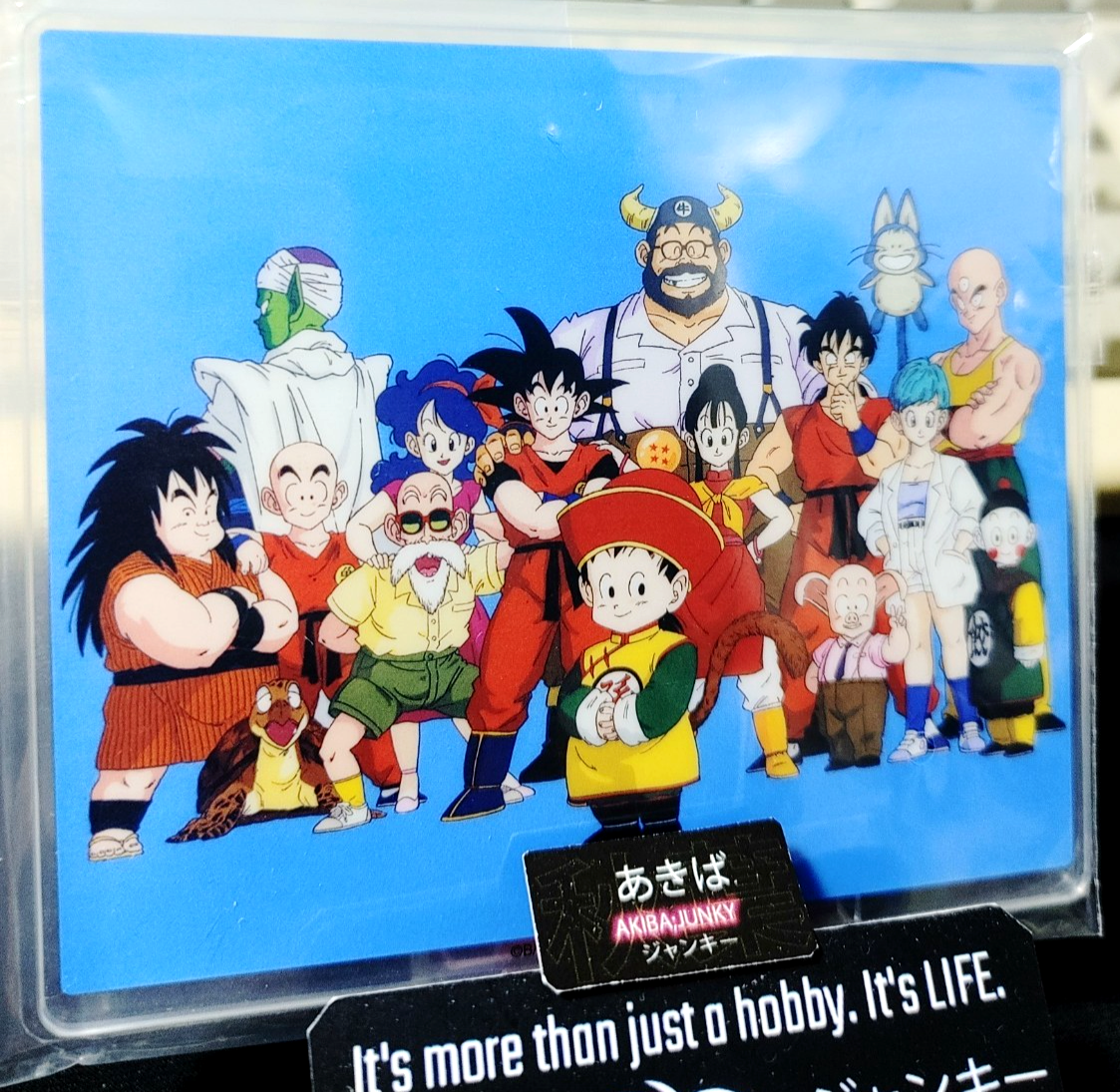 Dragon Ball Anime Acrylic Display B Goku Gohan Chi Chi Roshi Oolong Bulma JAPAN