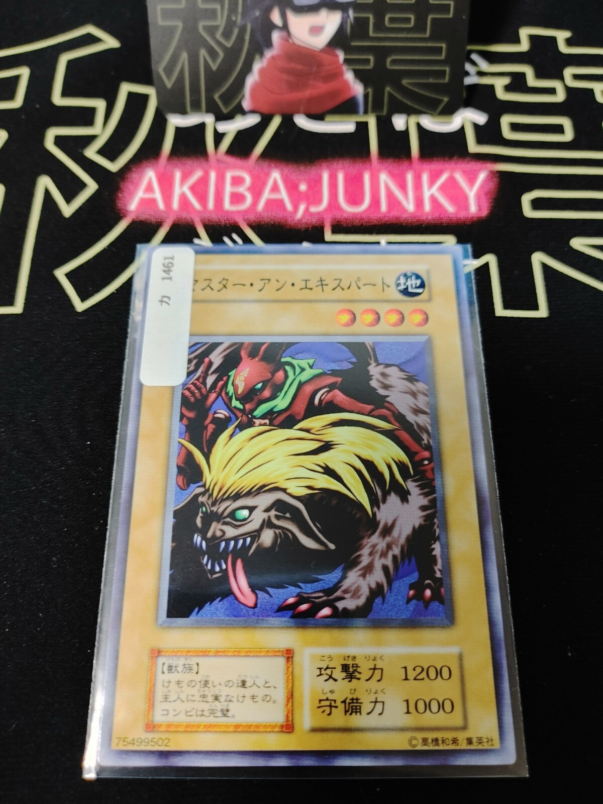 47424321