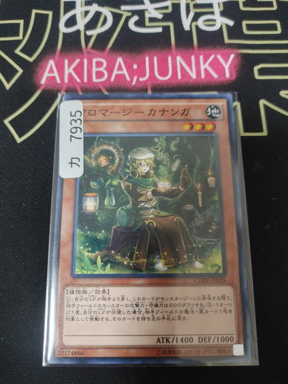 47431645
