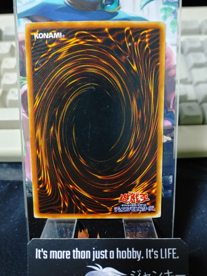 47437263