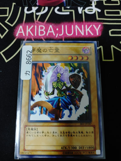 47424029