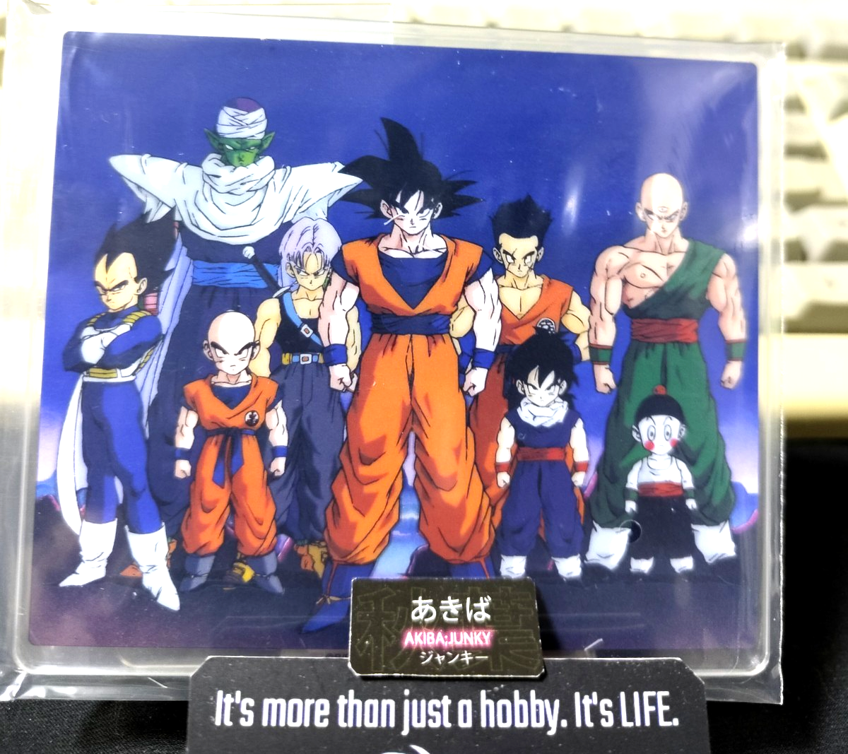 Dragon Ball Anime Acrylic Display Goku Vegeta Tien Piccolo Trunks G JAPAN