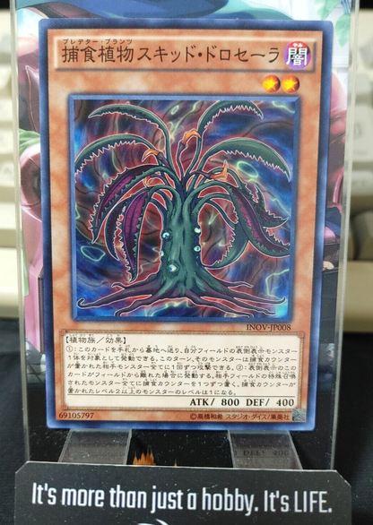 47424800
