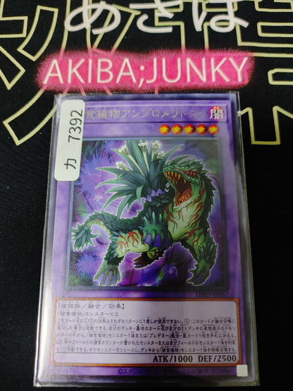47423876