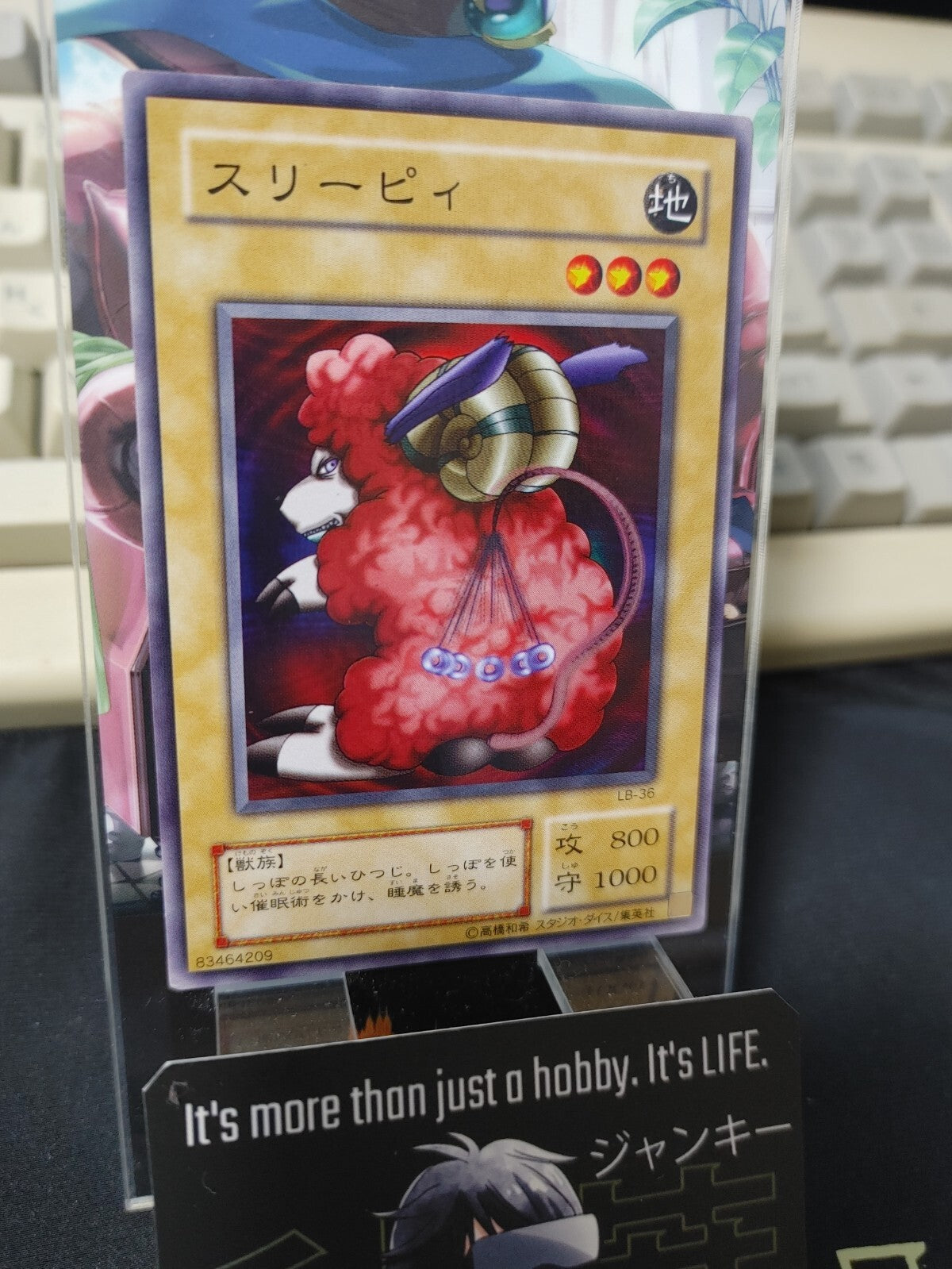 47429254