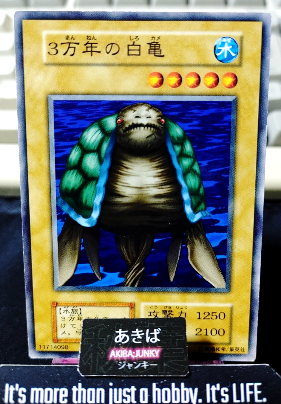 30,000-Year White Turtle Yugioh Yu-Gi-Oh Konami OCG JAPAN