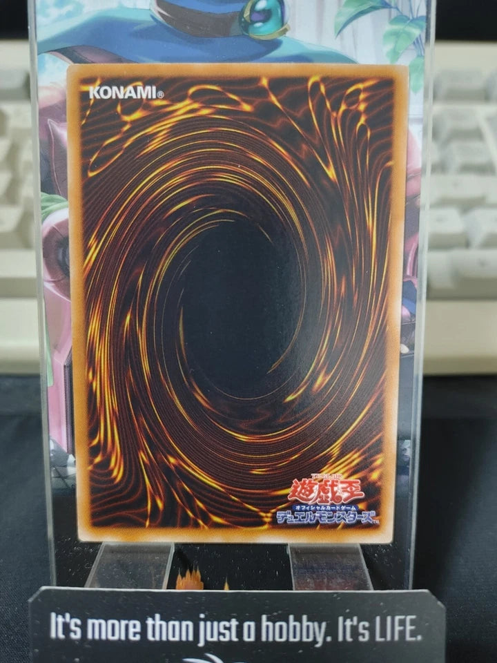 Thunder Nyan Nyan Yu-Gi-Oh Yugioh BE2-JP169 Rare Uncensored Art Konami JAPAN
