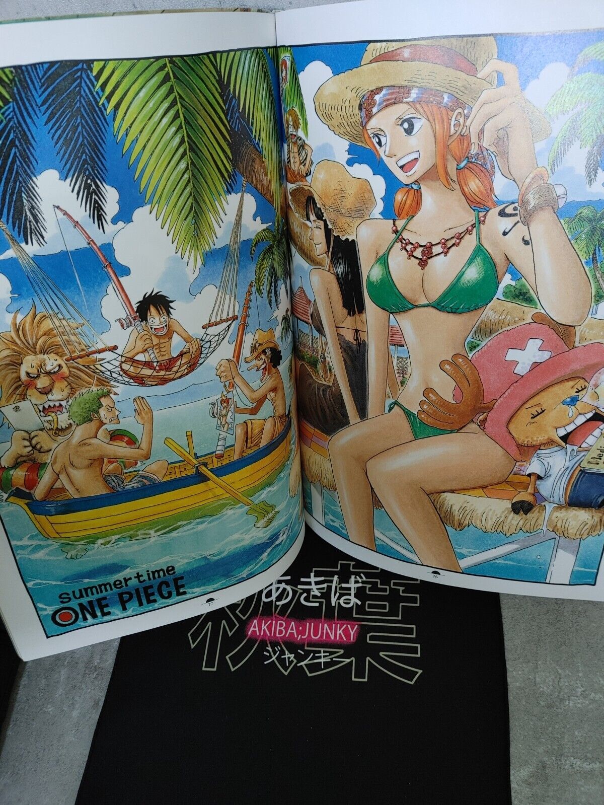 One Piece Color Walk 4 Eagle Japanese Artbook Japan Release