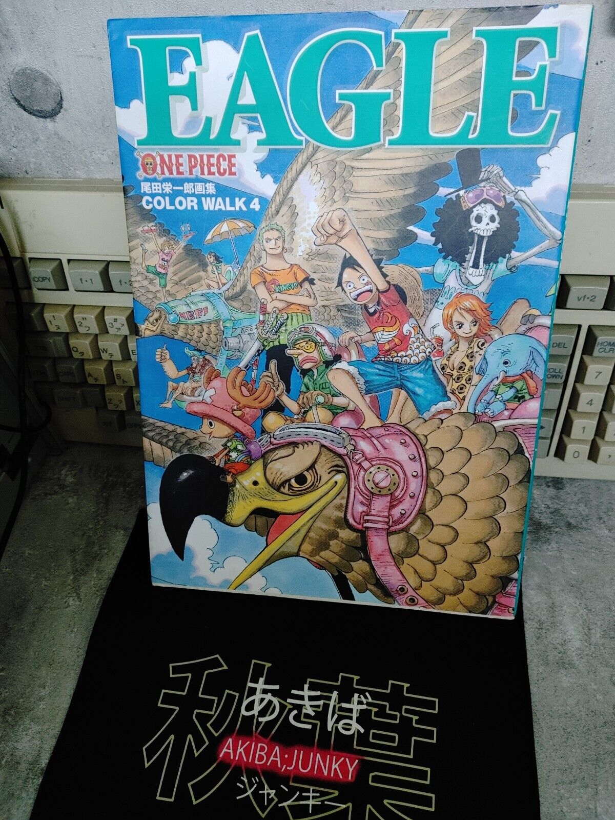 One Piece Color Walk 4 Eagle Japanese Artbook Japan Release