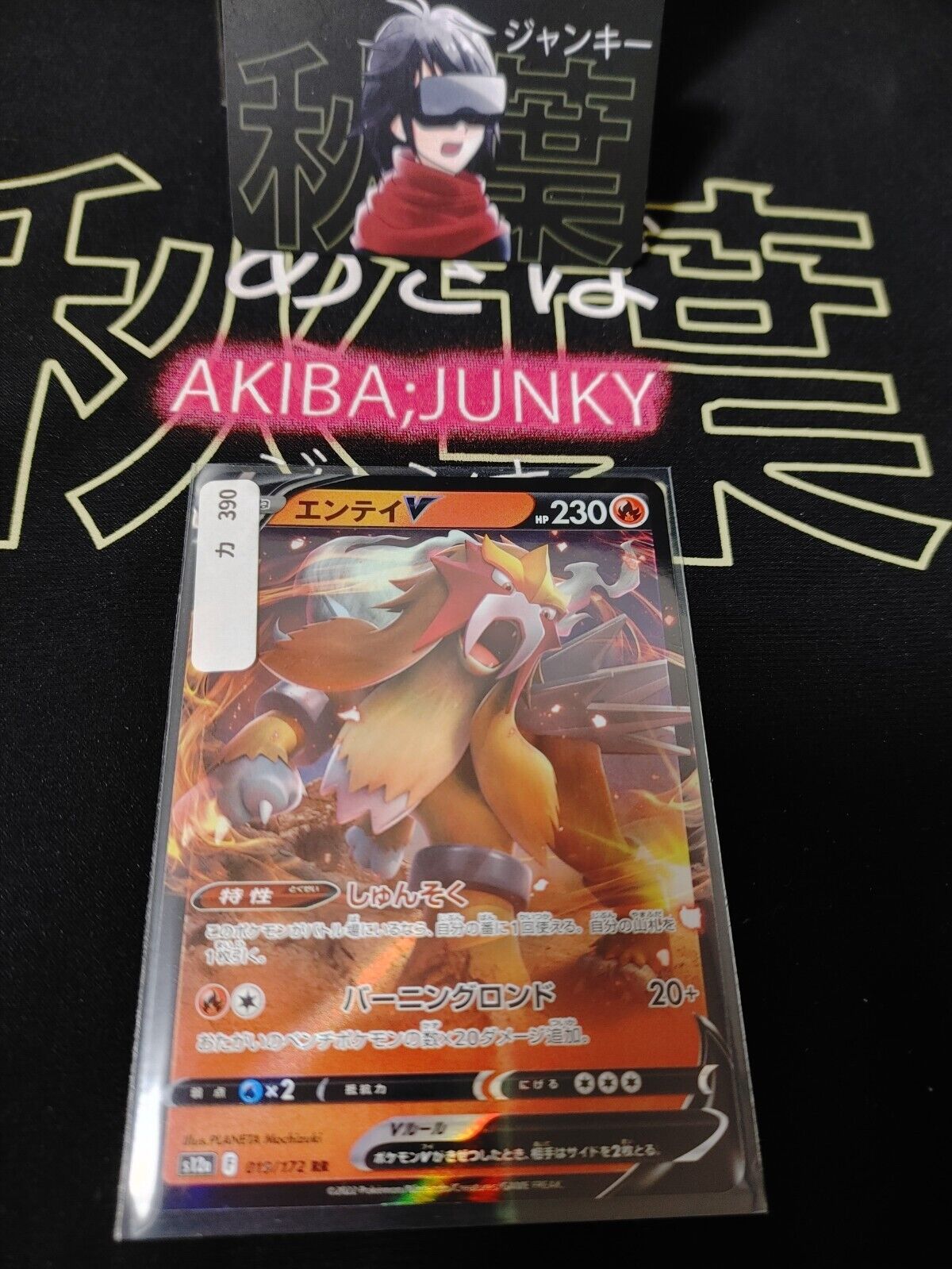 Pokemon Card Japanese  Entei V RR 019/172 S12a VSTAR Universe Holo NM Japan