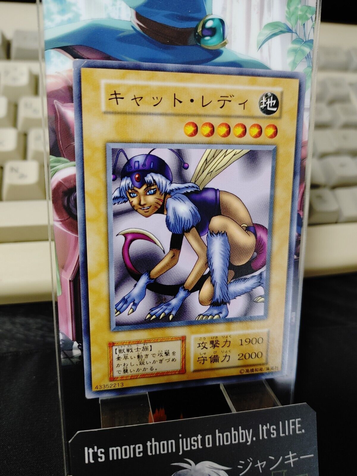 Nekogal #2 Yu-Gi-Oh Yugioh Retro Card Original UNCENSORED Konami JAPAN Release