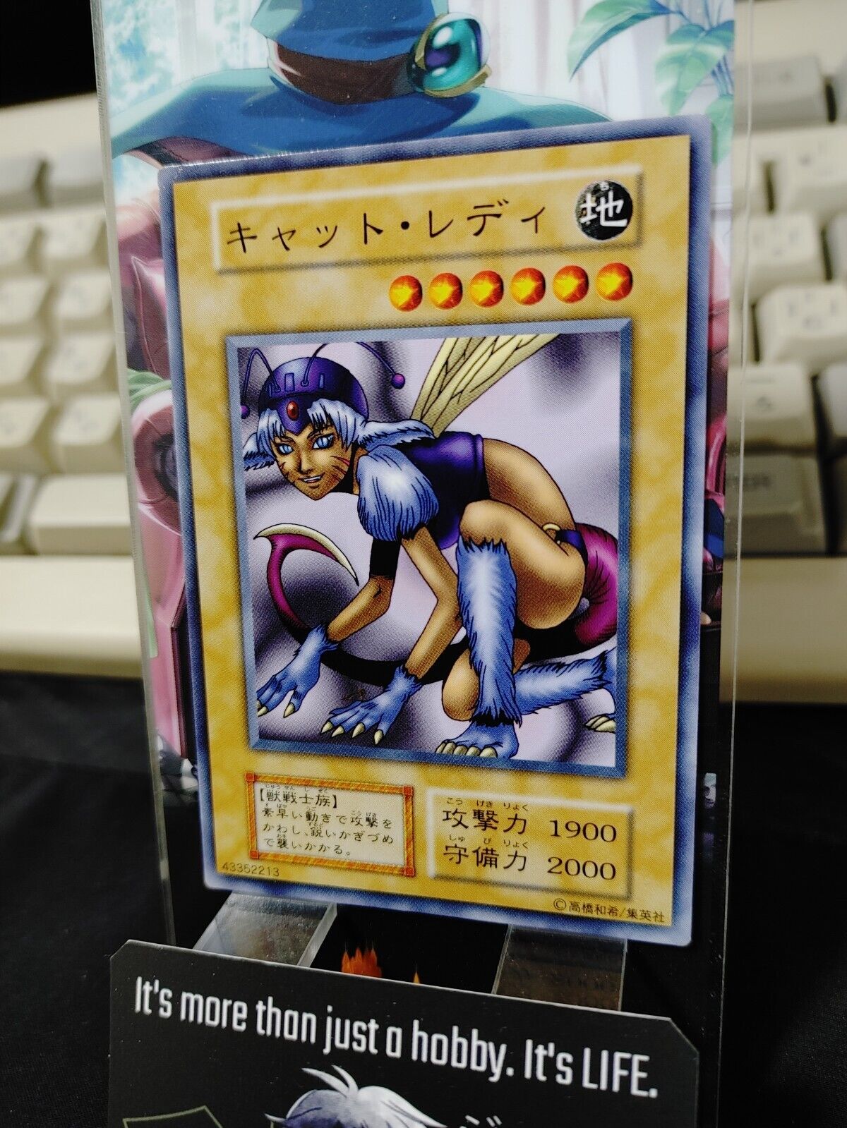 Nekogal #2 Yu-Gi-Oh Yugioh Retro Card Original UNCENSORED Konami JAPAN Release