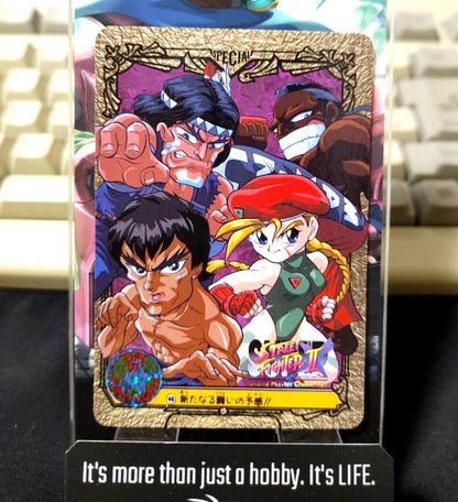 Street Fighter II Bandai Grand Carddass Card #40 Japanese Retro Japan Rare Item