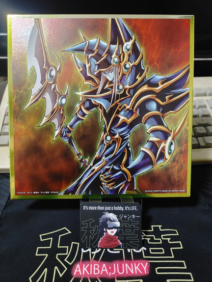 Yu-Gi-Oh Yugioh Art Board Metallic Design Japan Release Dark Paladin JAPAN