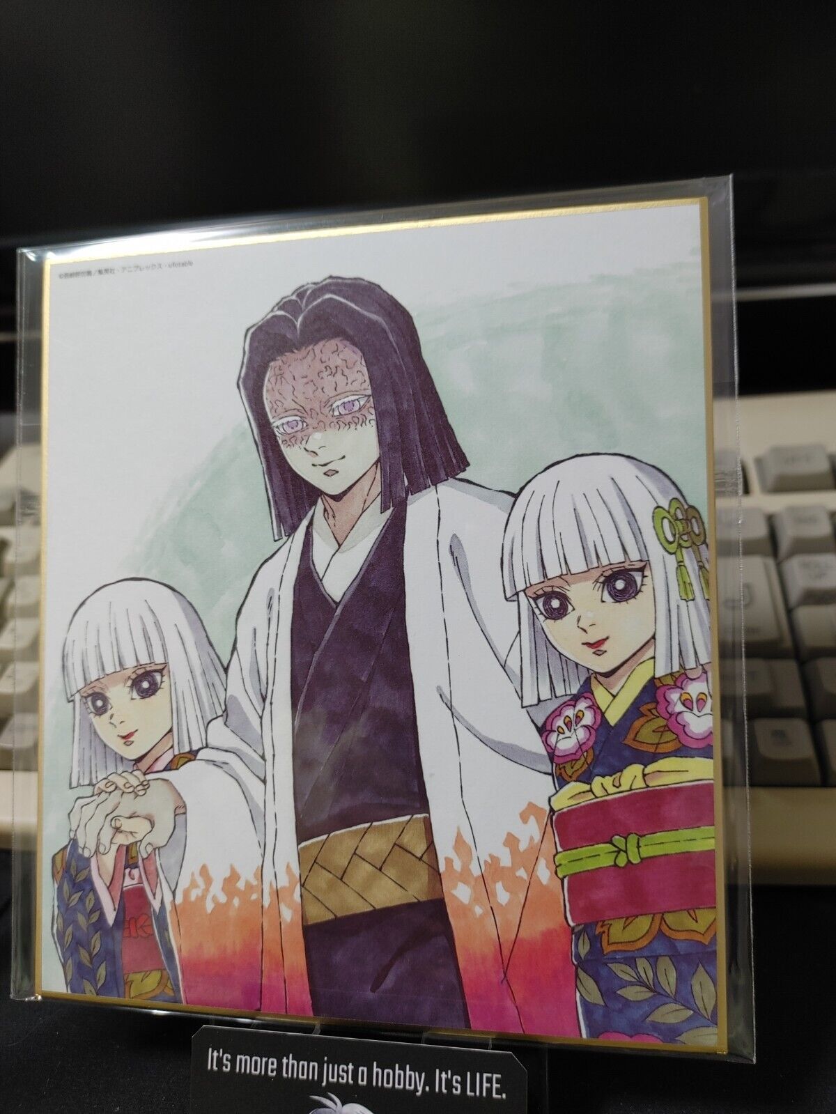 Anime Demon Slayer Kagaya Ubuyashiki Art Panel Japan Limited Release A