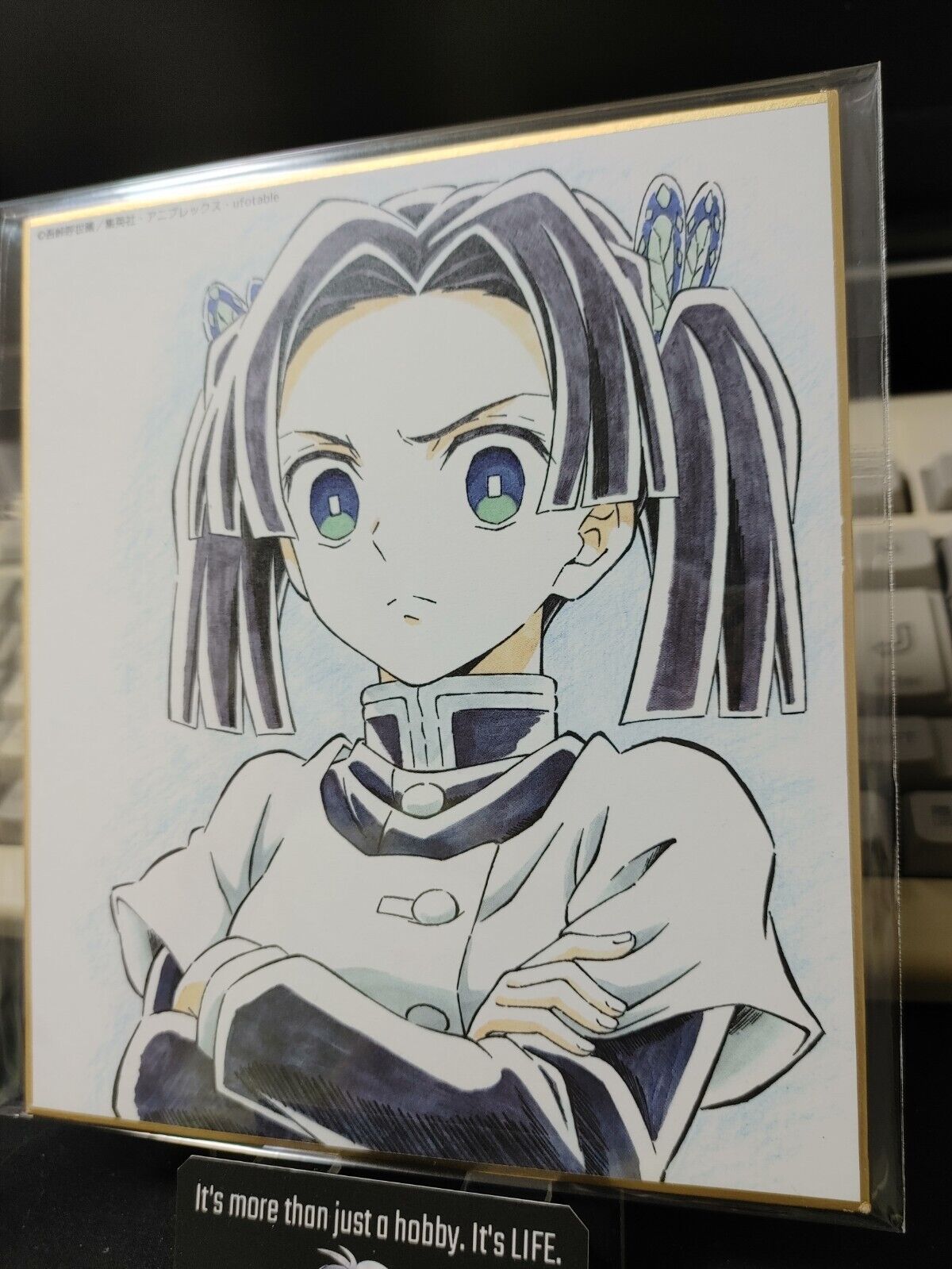 Anime Demon Slayer Aoi Art Panel Japan Limited Release A