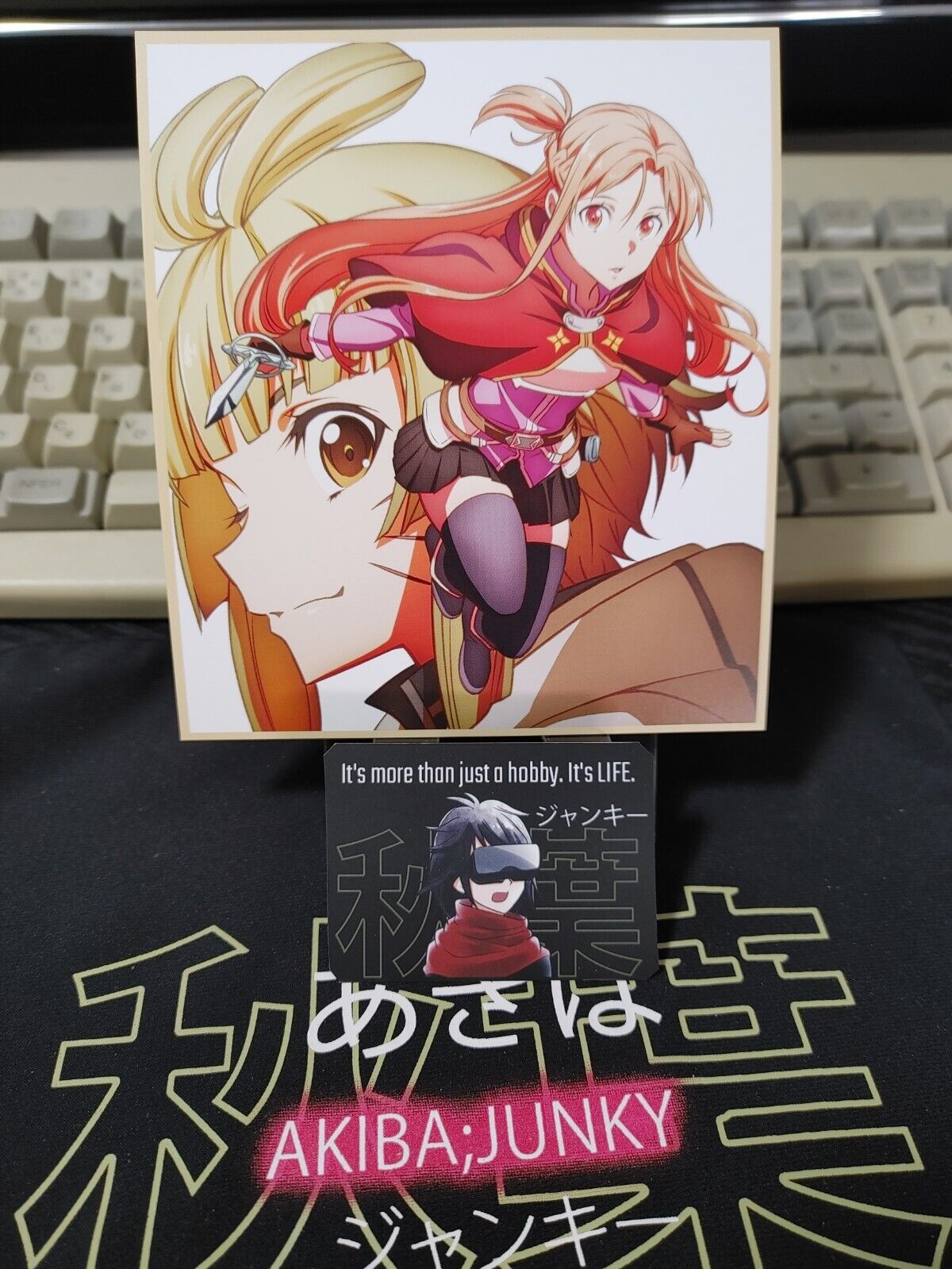 Anime Sword Art Online Progressive Asuna Design Sheet Japan Limited Release