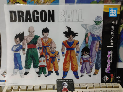 Anime Dragon ball Animation Visual Board Collection Japan LOT RARE