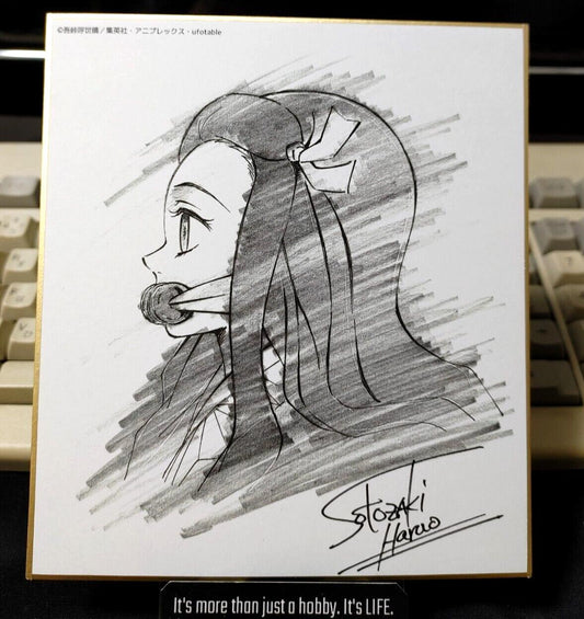 Anime Demon Slayer Nezuko Art Panel Japan Limited Release SS