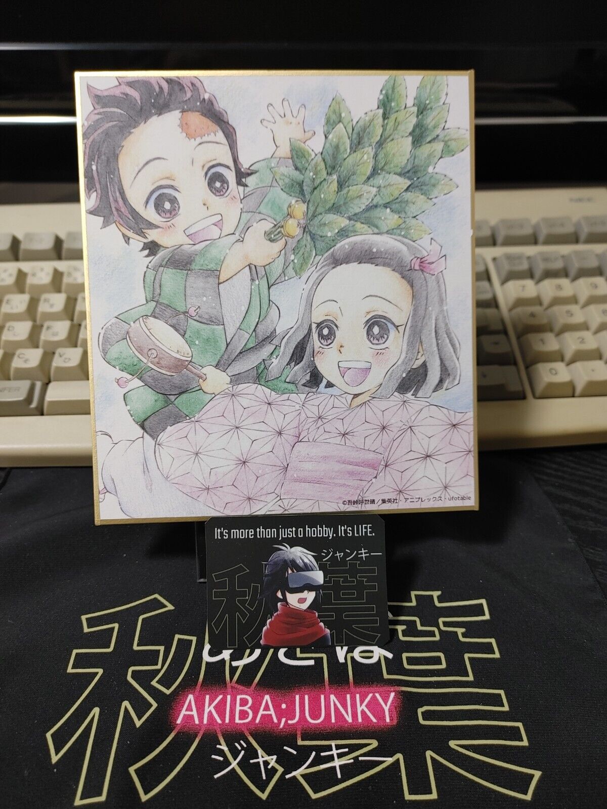 Anime Demon Slayer Tanjiro Nezuko Art Panel Japan Limited Release A