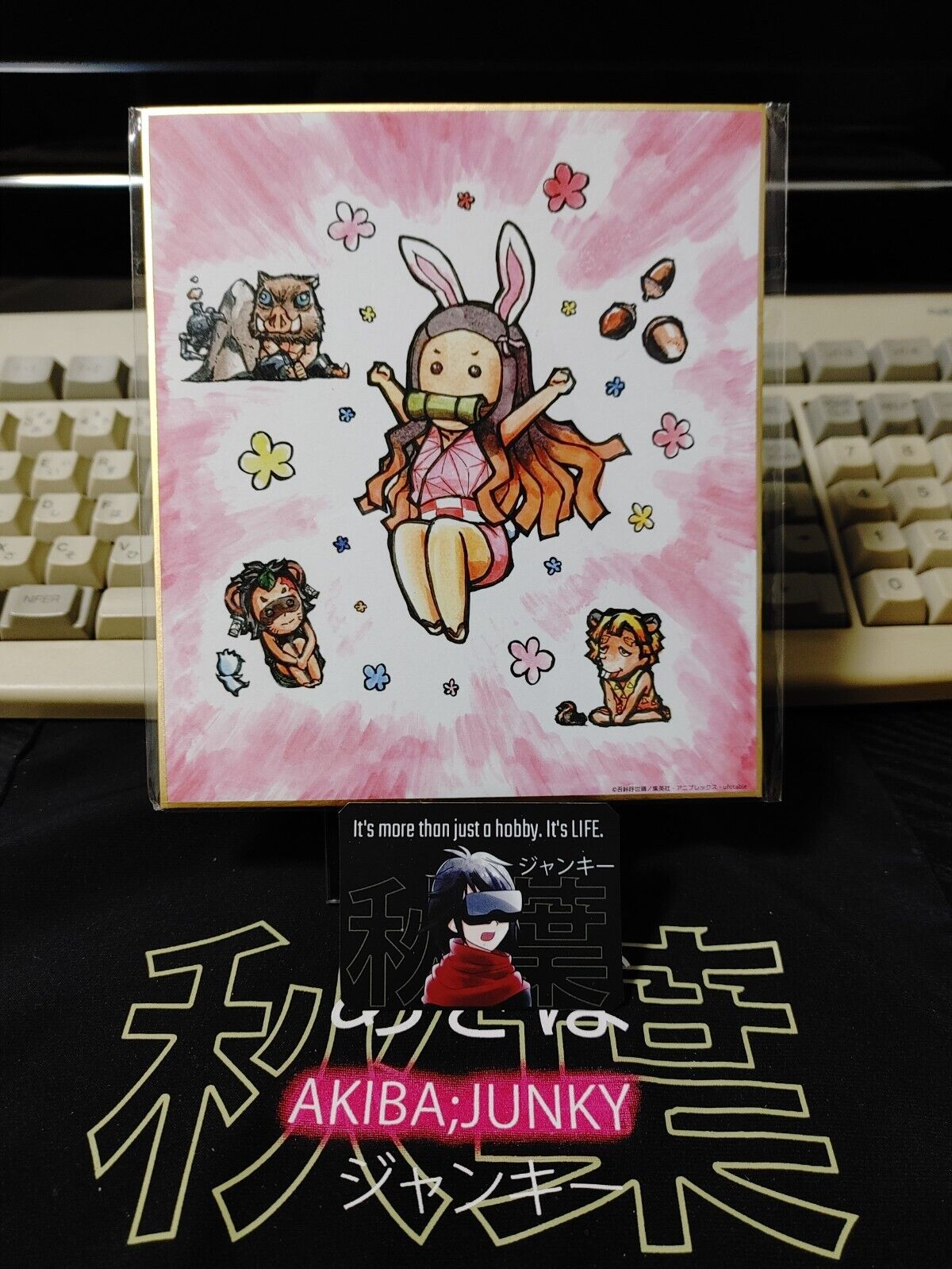 Anime Demon Slayer Nezuko Art Panel Japan Limited Release A