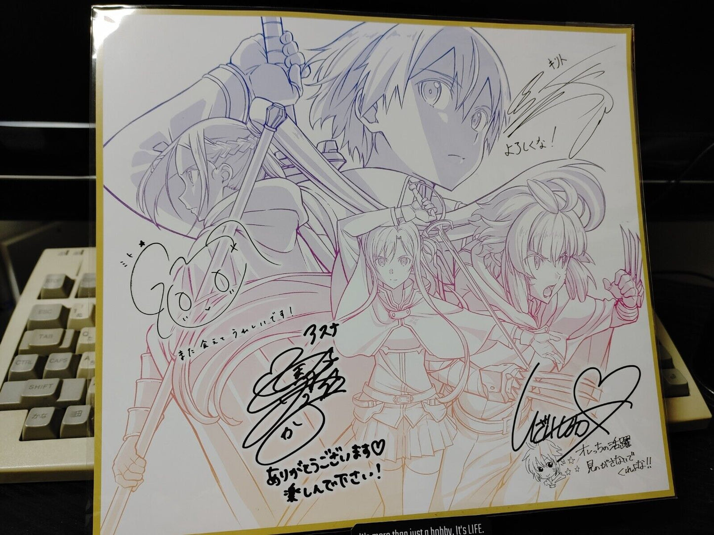 Anime Sword Art Online Progressive Art Panel Japan Limited Release