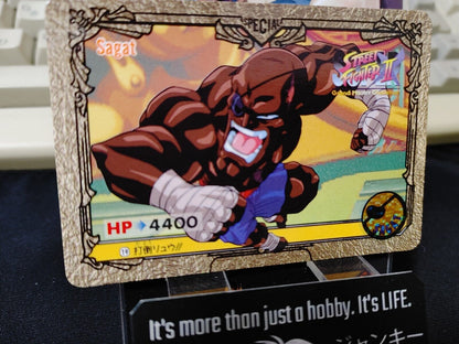 Street Fighter II Bandai Movie Carddass Card #19 Japanese Retro Japan Rare Item
