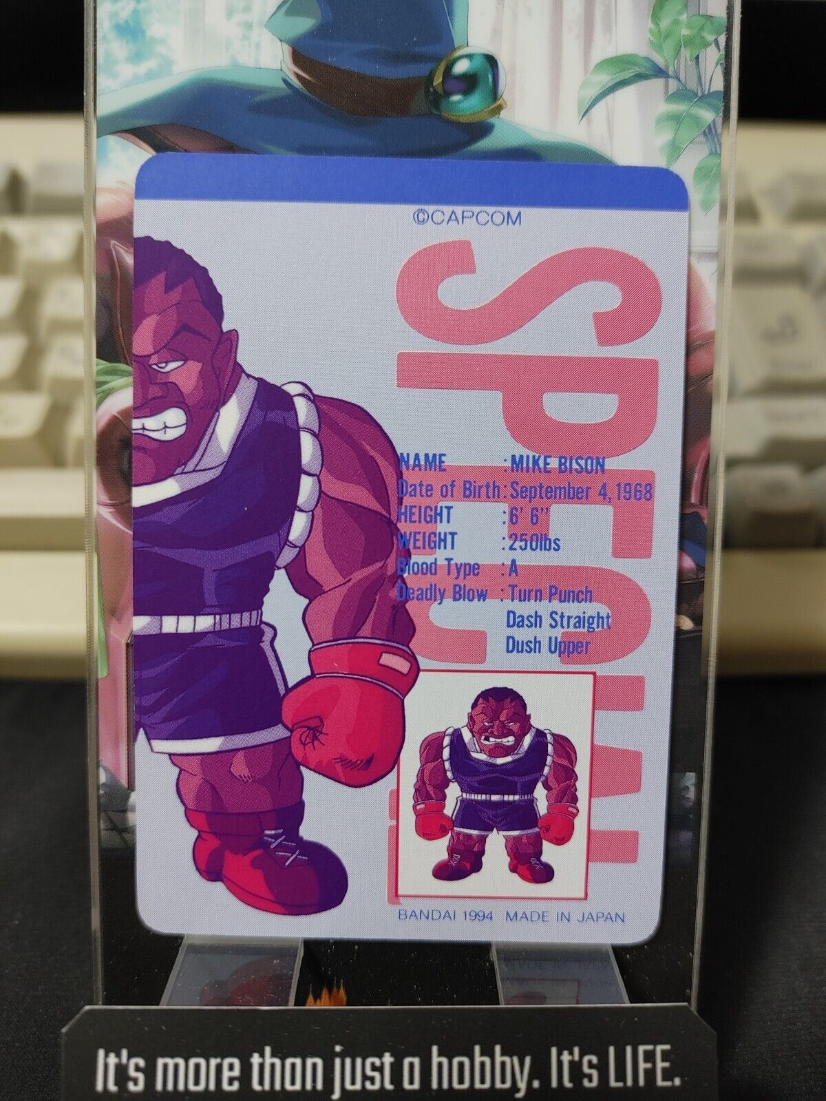 Street Fighter II Bandai Carddass Card #17 Japanese Retro Japan Rare Item