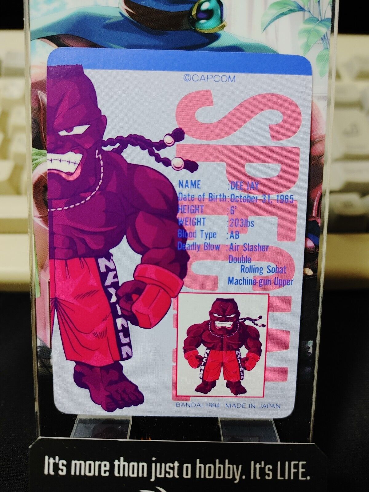 Street Fighter II Bandai Carddass Card #16 Japanese Retro Japan Rare Item