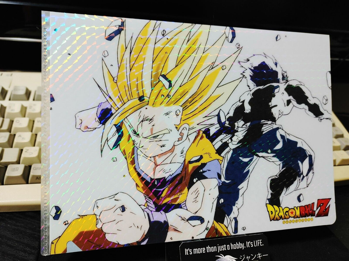 Anime Dragon ball Animation Design File Gohan Holo Japan Limited