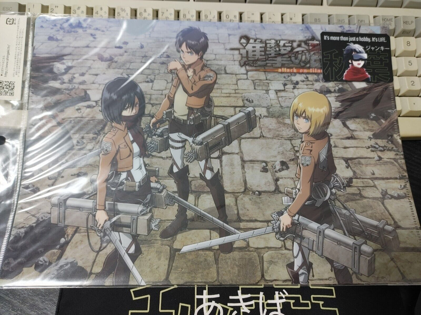 Attack on Titan Collectible  Design Clear File Design S GOODS JAPAN