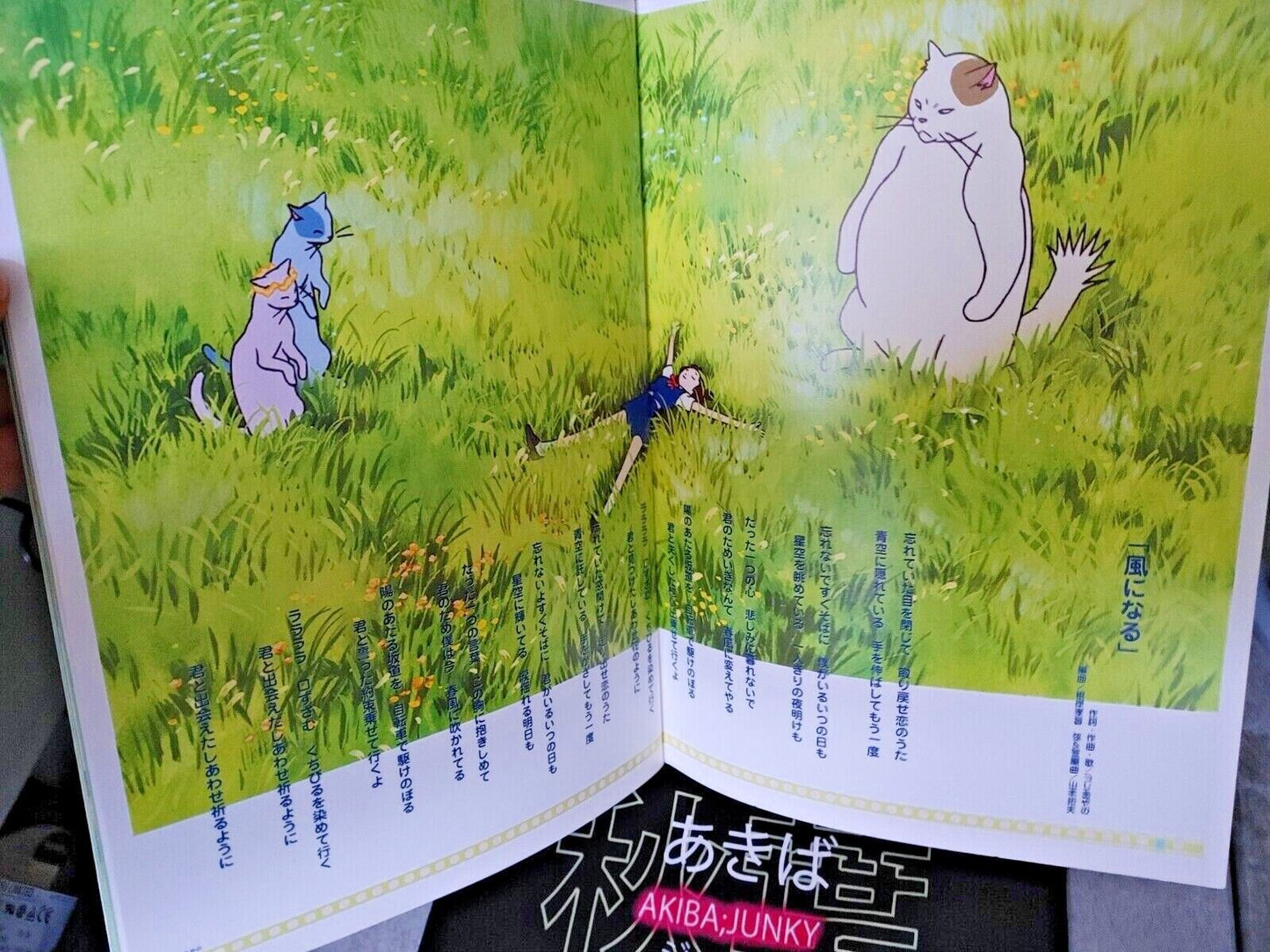 The Cat Returns Studio Ghibli Hayao Miyazaki Japanese Movie Booklet Japan Import