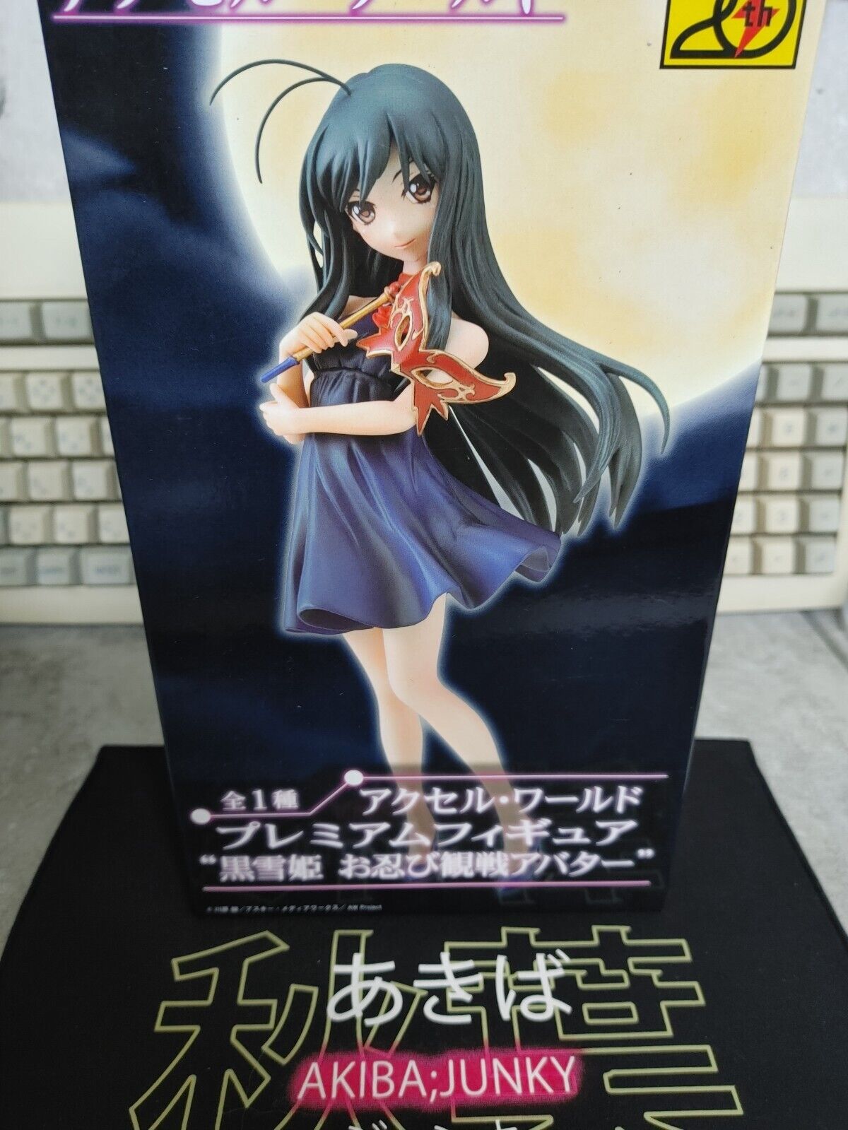 Anime Figure Accel World Kuroyukihime Premium Dengeki Bunko 20th Anniversary JP