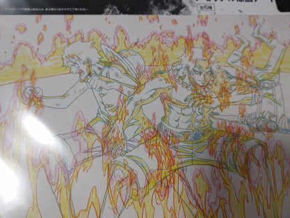 Anime One Piece Animation Cel Print Design Battle Memories E Japan Limited